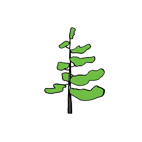 Biomass